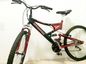bicicleta 2
