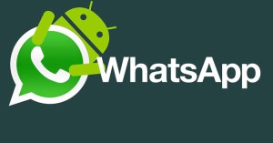 whatsapp-android.jpg1