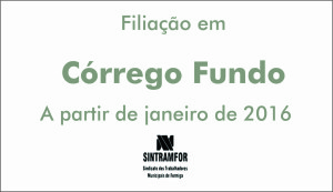 Arte CF