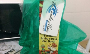 presente camila 2
