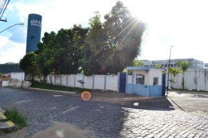 saae web